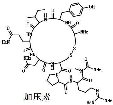 加壓素的結構式